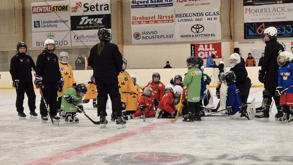 Tre kronor hockeyskola 26-27